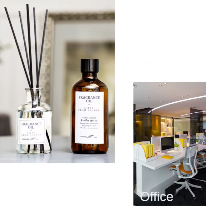 Scent Fragrance Diffuser with Sticks Set